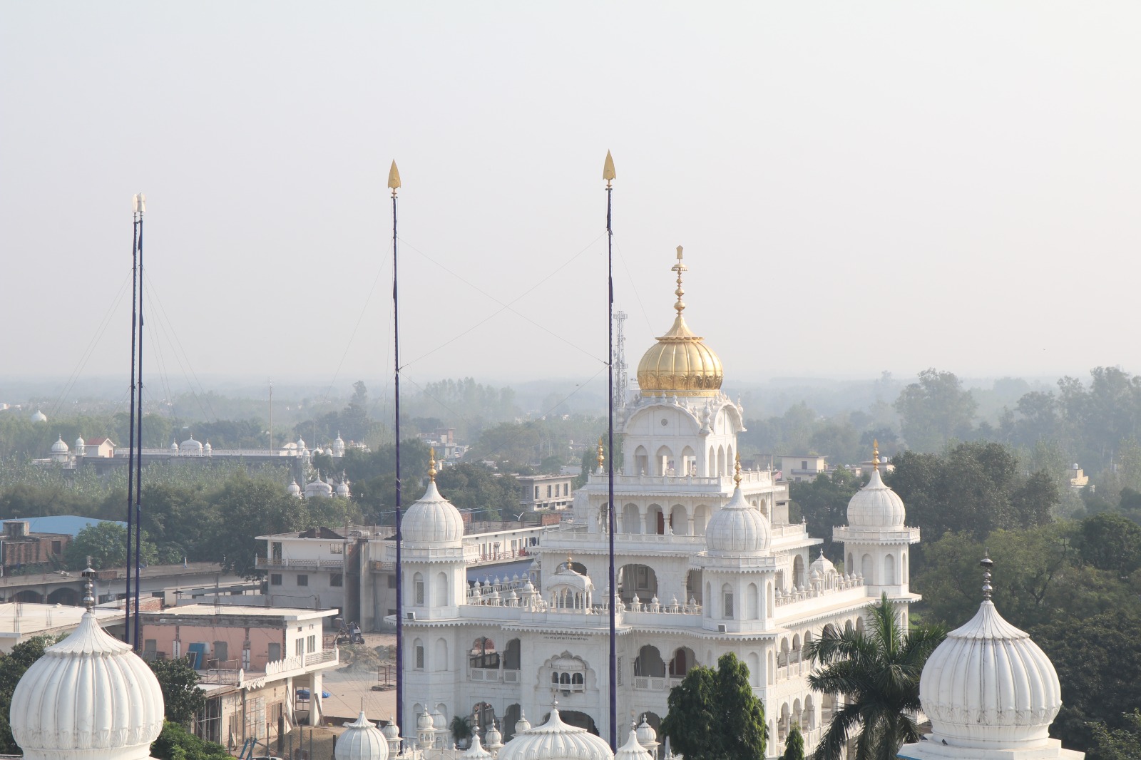 Punjab School Education Board
